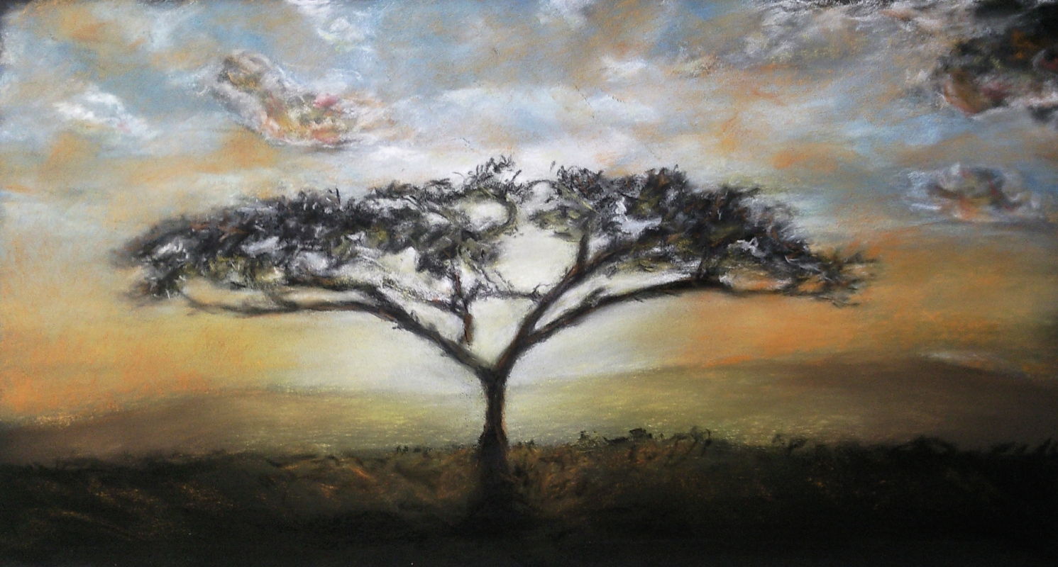 pastel savane nicolas pennarun